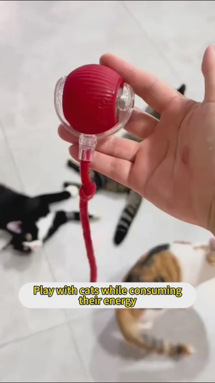 Lilly – Smart Interaktiv Katt och hund leksak med Elektrisk Rörelse  Självgående Speedy Tail Boll för Aktiv Lek